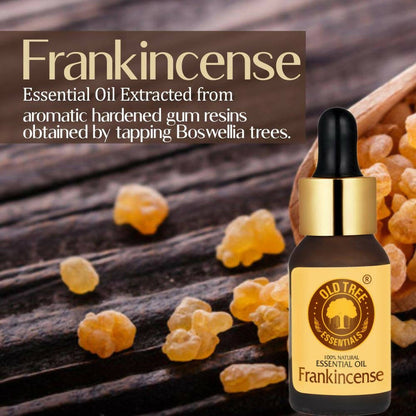 https://cdn.shopify.com/s/files/1/1857/6931/products/qyAiNyqHaS.jpg?v=1682769524