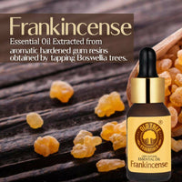 https://cdn.shopify.com/s/files/1/1857/6931/products/qyAiNyqHaS.jpg?v=1682769524