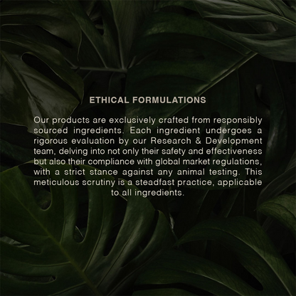 https://cdn.shopify.com/s/files/1/1857/6931/files/qzb2RpEpLj.png?v=1771497772