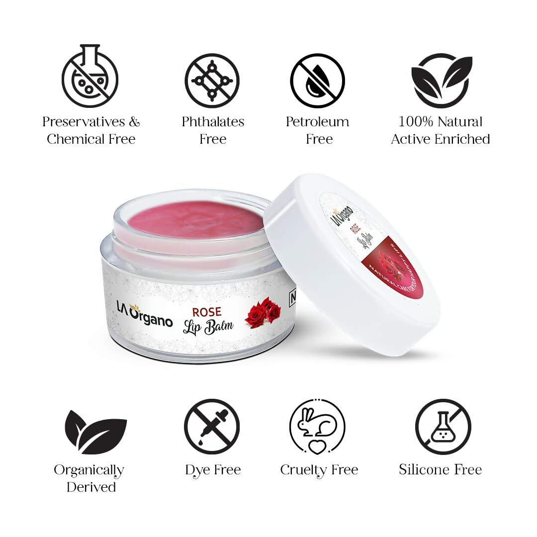 https://cdn.shopify.com/s/files/1/1857/6931/files/r0Tg2IEYzt.png?v=1718864001