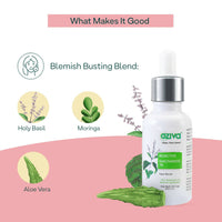 https://cdn.shopify.com/s/files/1/1857/6931/products/r20nFGInYx.jpg?v=1695289785