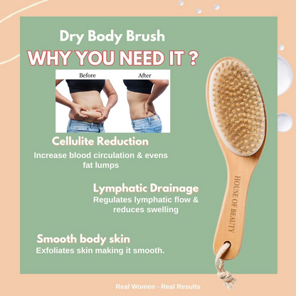 https://cdn.shopify.com/s/files/1/1857/6931/files/r2orFOHwpf.png?v=1729237879