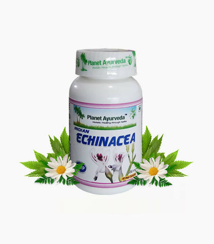 https://cdn.shopify.com/s/files/1/1857/6931/products/r4LMLVbSv4.jpg?v=1762350922