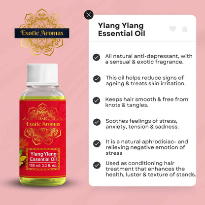 https://cdn.shopify.com/s/files/1/1857/6931/products/r8Ad7tG5UX.jpg?v=1683029850