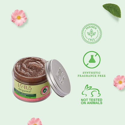 https://cdn.shopify.com/s/files/1/1857/6931/products/r8TJXGbFax.jpg?v=1648461039