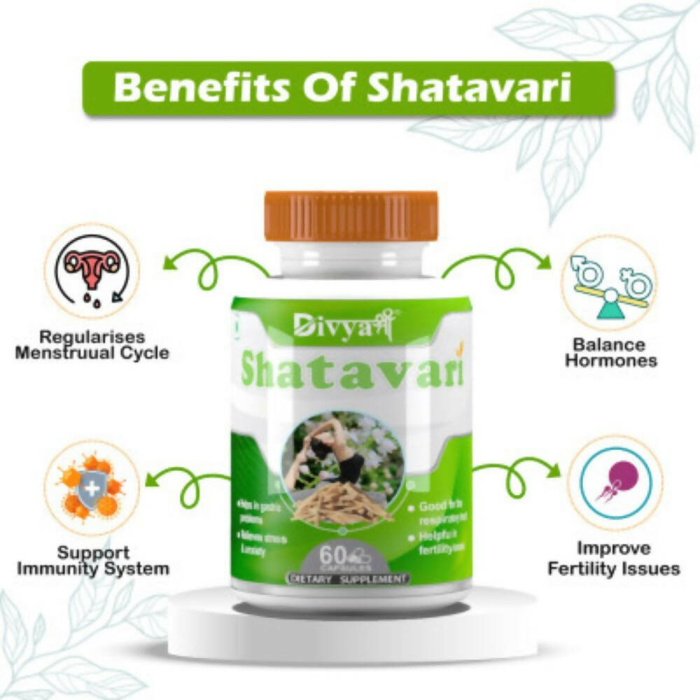 https://cdn.shopify.com/s/files/1/1857/6931/products/rBvXgjDhyY.jpg?v=1672209704
