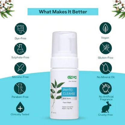 https://cdn.shopify.com/s/files/1/1857/6931/products/rDdxGr0AL8.jpg?v=1646993786