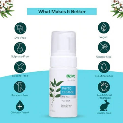 https://cdn.shopify.com/s/files/1/1857/6931/products/rDdxGr0AL8.jpg?v=1646993786