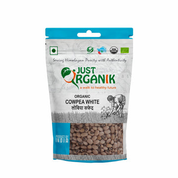 https://cdn.shopify.com/s/files/1/1857/6931/products/rIQ1DzKISB.jpg?v=1650633000