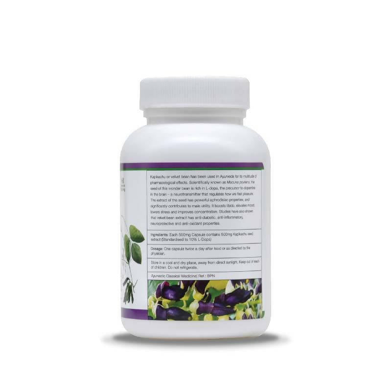 https://cdn.shopify.com/s/files/1/1857/6931/products/rIhAQSTy1b.jpg?v=1640945959