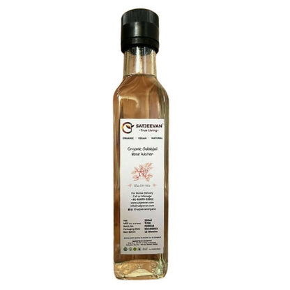 https://cdn.shopify.com/s/files/1/1857/6931/products/rJLpzXVQPN.jpg?v=1705993973