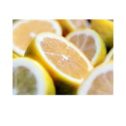 https://cdn.shopify.com/s/files/1/1857/6931/products/rJhvzTegub.jpg?v=1646912580