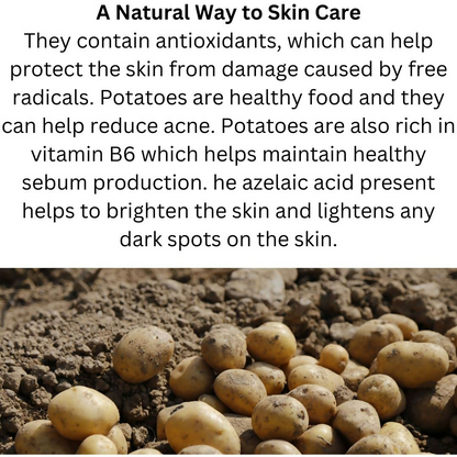 https://cdn.shopify.com/s/files/1/1857/6931/files/rKSr46mTPH.png?v=1746614090