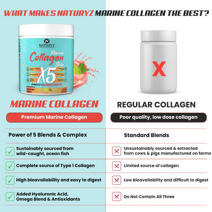https://cdn.shopify.com/s/files/1/1857/6931/files/rLLFkahHwY.png?v=1732275137