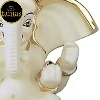 https://cdn.shopify.com/s/files/1/1857/6931/products/rLSgSUcI6G.jpg?v=1676010928