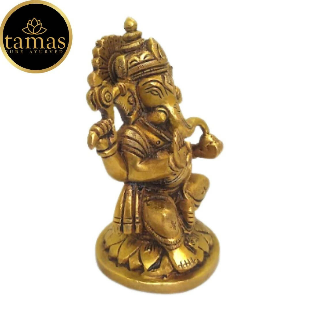 https://cdn.shopify.com/s/files/1/1857/6931/products/rLaSl2PyBY.jpg?v=1681474563