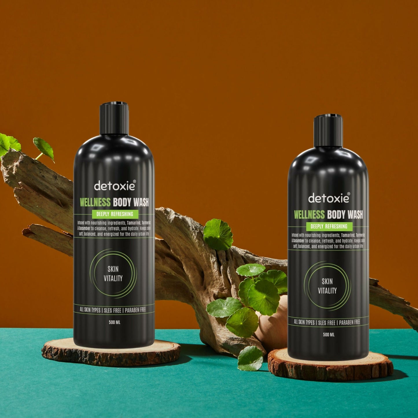 https://cdn.shopify.com/s/files/1/1857/6931/files/rOLiUTol4G.jpg?v=1754996842