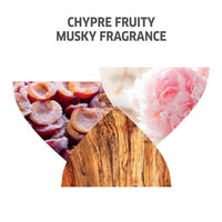 https://cdn.shopify.com/s/files/1/1857/6931/products/rV8OqRi2Xt.jpg?v=1666868273
