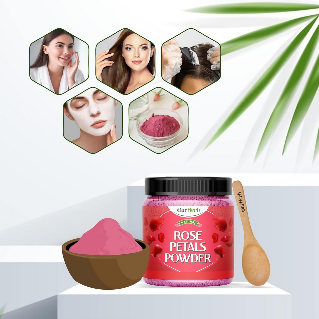 https://cdn.shopify.com/s/files/1/1857/6931/files/rVhQaSaOsU.png?v=1727440172