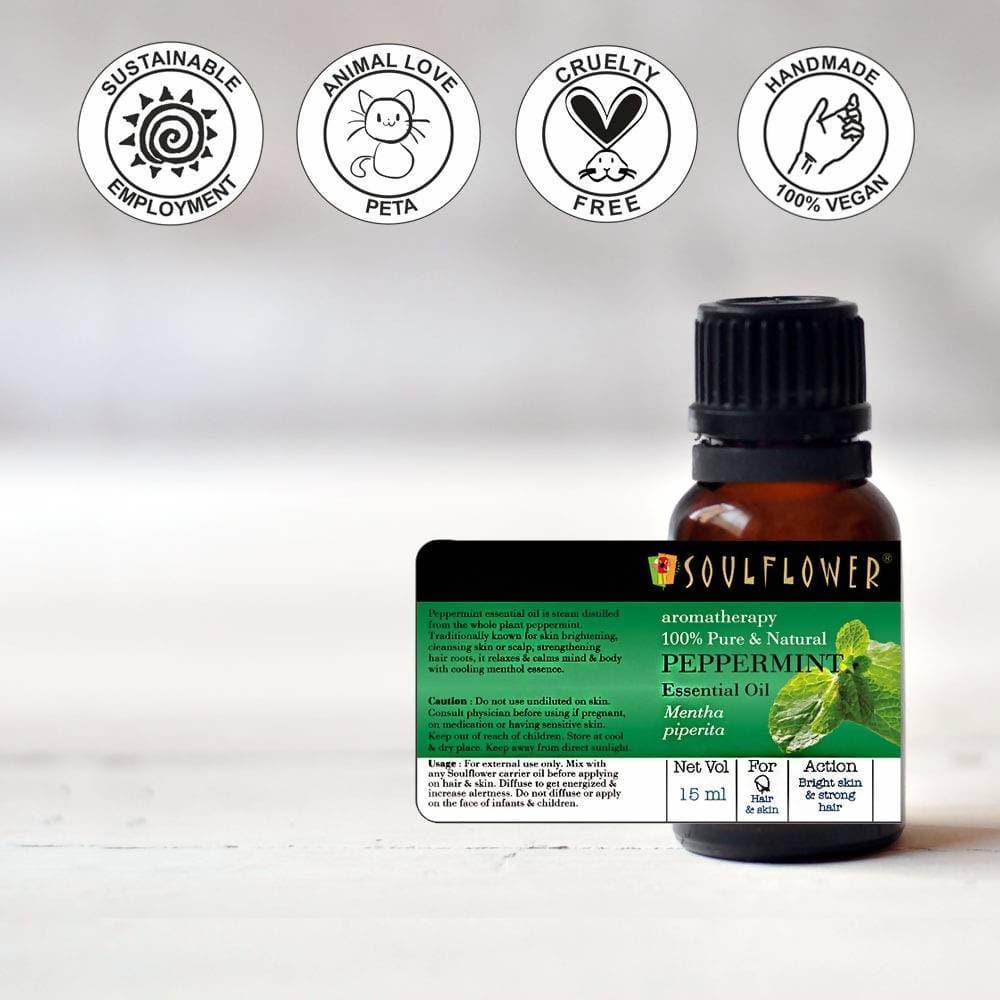 https://cdn.shopify.com/s/files/1/1857/6931/products/rXF3tkdgPc.jpg?v=1614911231