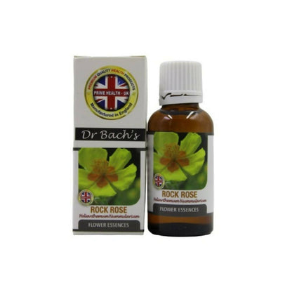 https://cdn.shopify.com/s/files/1/1857/6931/products/reP8JuudCs.jpg?v=1762366336
