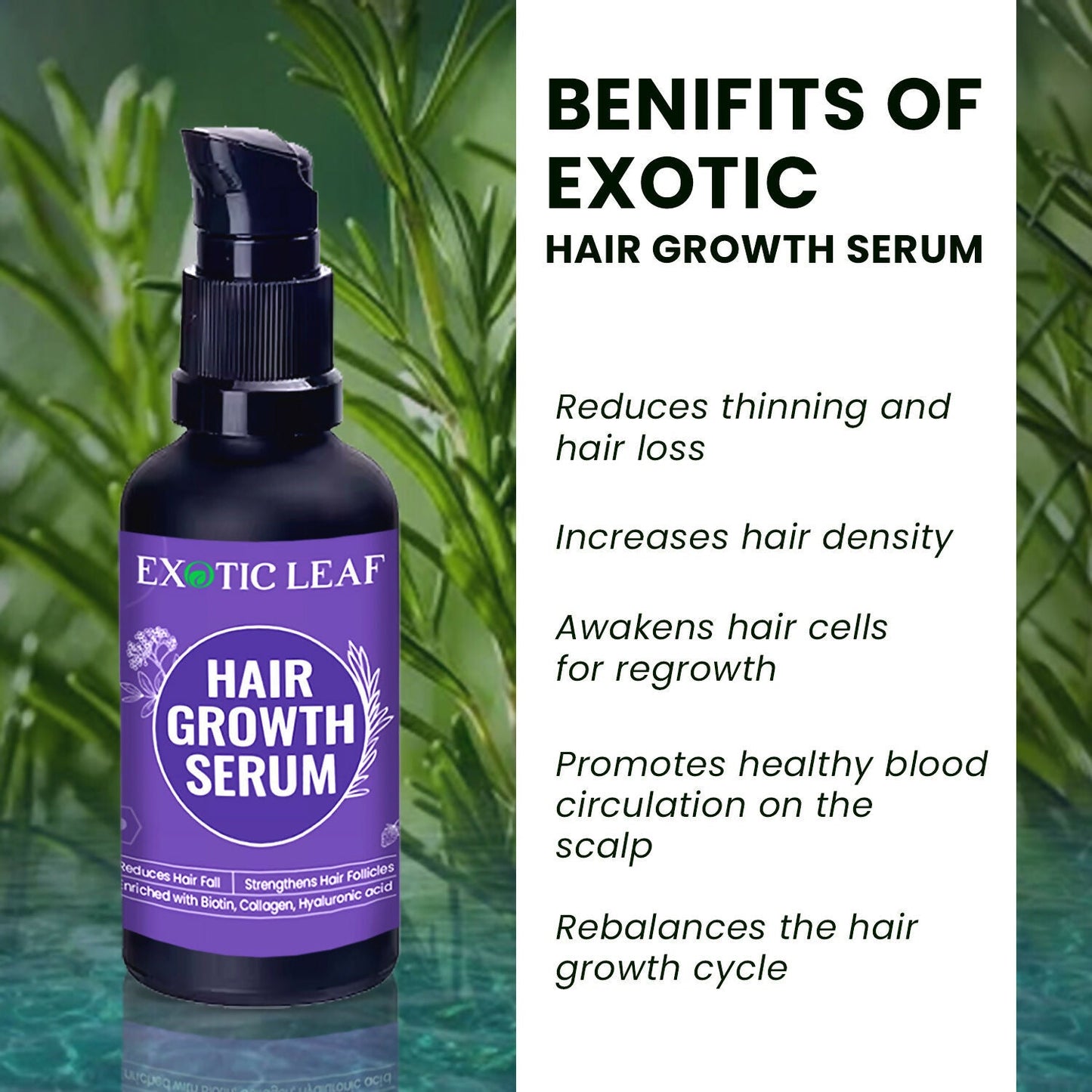 https://cdn.shopify.com/s/files/1/1857/6931/files/rePbd3nth6.jpg?v=1725084983
