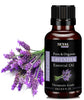 https://cdn.shopify.com/s/files/1/1857/6931/products/reyx06TXt4.jpg?v=1759384274