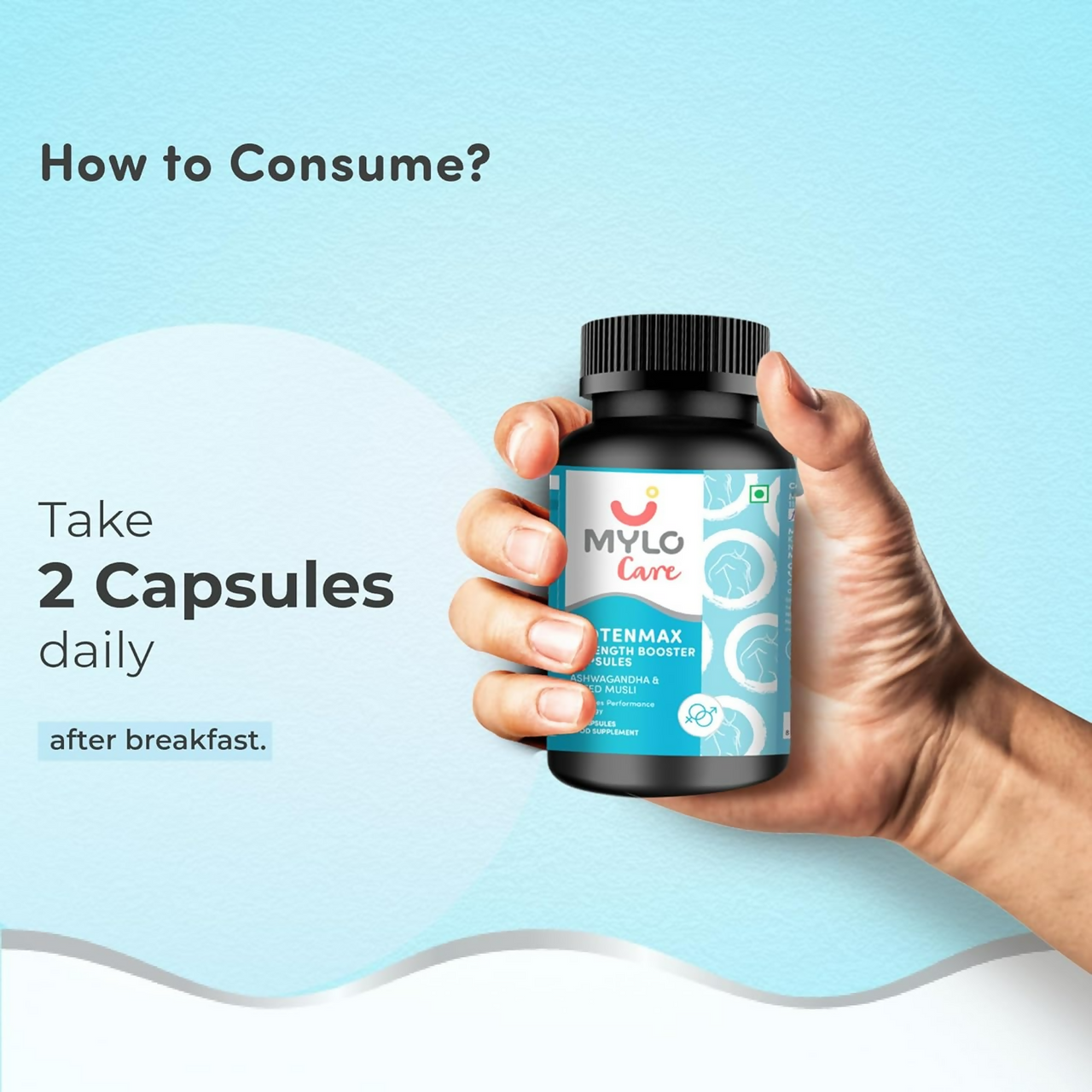 https://cdn.shopify.com/s/files/1/1857/6931/files/rfVEx8Xrvh.png?v=1737975878