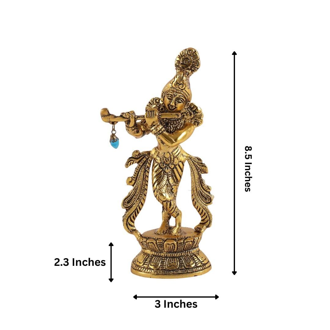 https://cdn.shopify.com/s/files/1/1857/6931/files/rhVcwvAWqp.jpg?v=1714213778