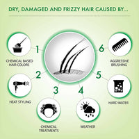 https://cdn.shopify.com/s/files/1/1857/6931/products/riIEPYP1ia.jpg?v=1662121408