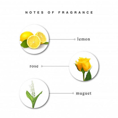 https://cdn.shopify.com/s/files/1/1857/6931/products/riYdUa9DyN.jpg?v=1648104388