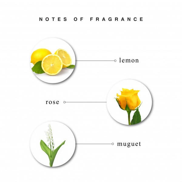 https://cdn.shopify.com/s/files/1/1857/6931/products/riYdUa9DyN.jpg?v=1648104388