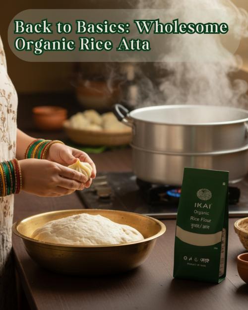 https://cdn.shopify.com/s/files/1/1857/6931/files/rice_flour_2.jpg?v=1769504966