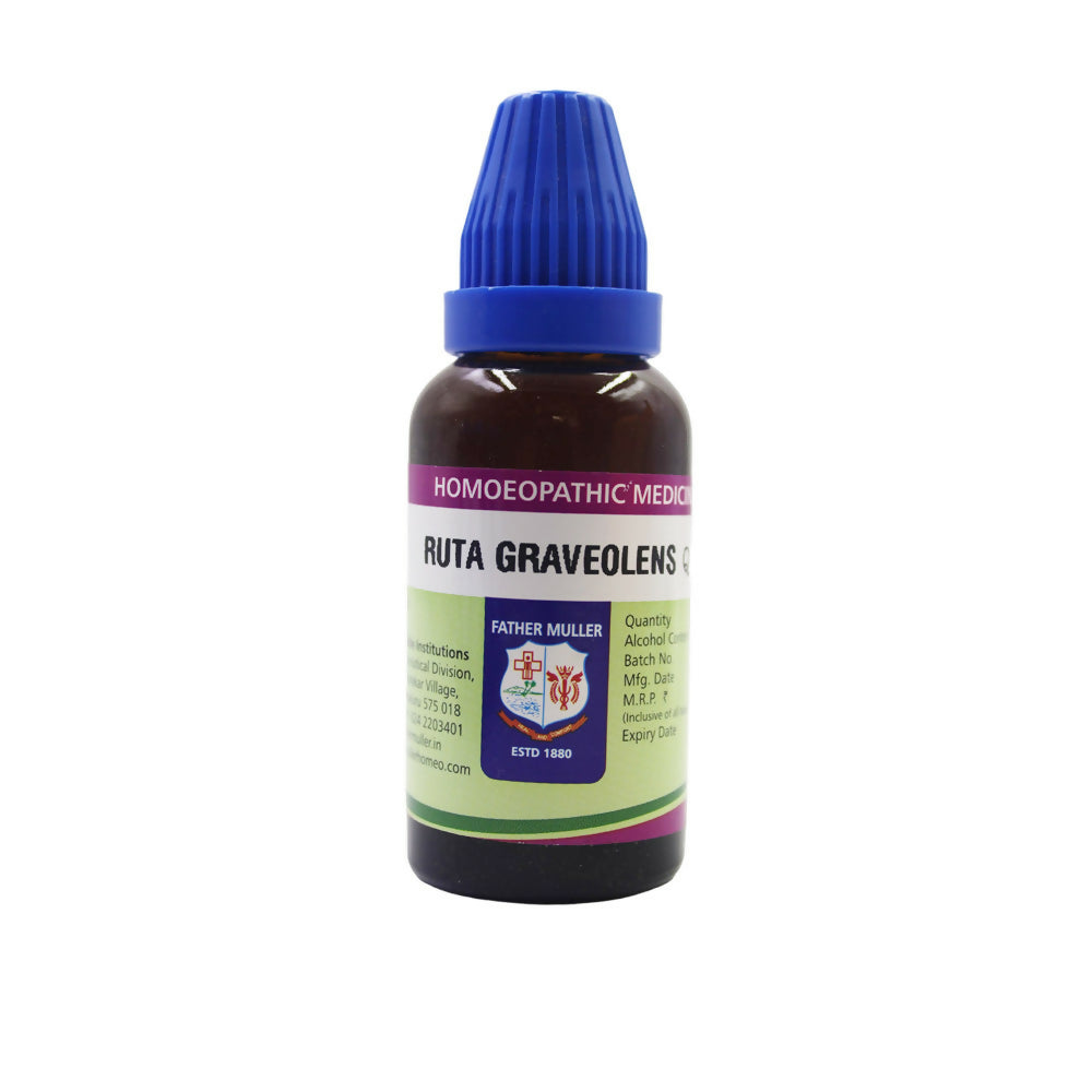 https://cdn.shopify.com/s/files/1/1857/6931/files/rkL6rFYeXV.jpg?v=1716986596