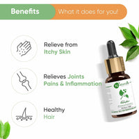 https://cdn.shopify.com/s/files/1/1857/6931/products/rlyjsKcNgc.jpg?v=1623504315