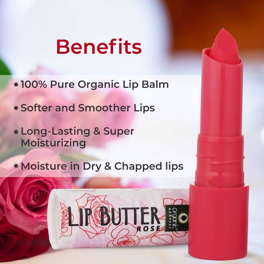 https://cdn.shopify.com/s/files/1/1857/6931/products/rmDdoHmOgR.jpg?v=1636178409