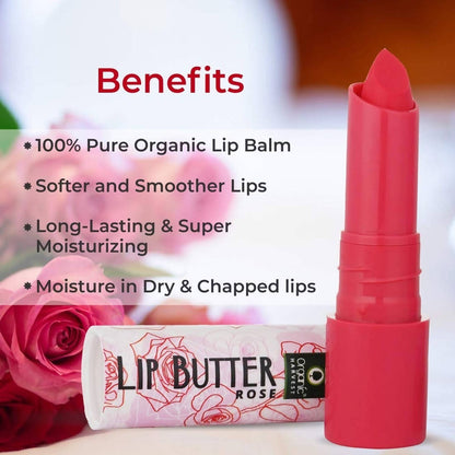 https://cdn.shopify.com/s/files/1/1857/6931/products/rmDdoHmOgR.jpg?v=1636178409