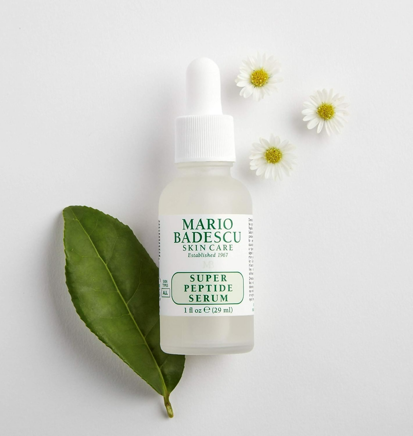 https://cdn.shopify.com/s/files/1/1857/6931/files/rmJ3bXVMtb.png?v=1736398371