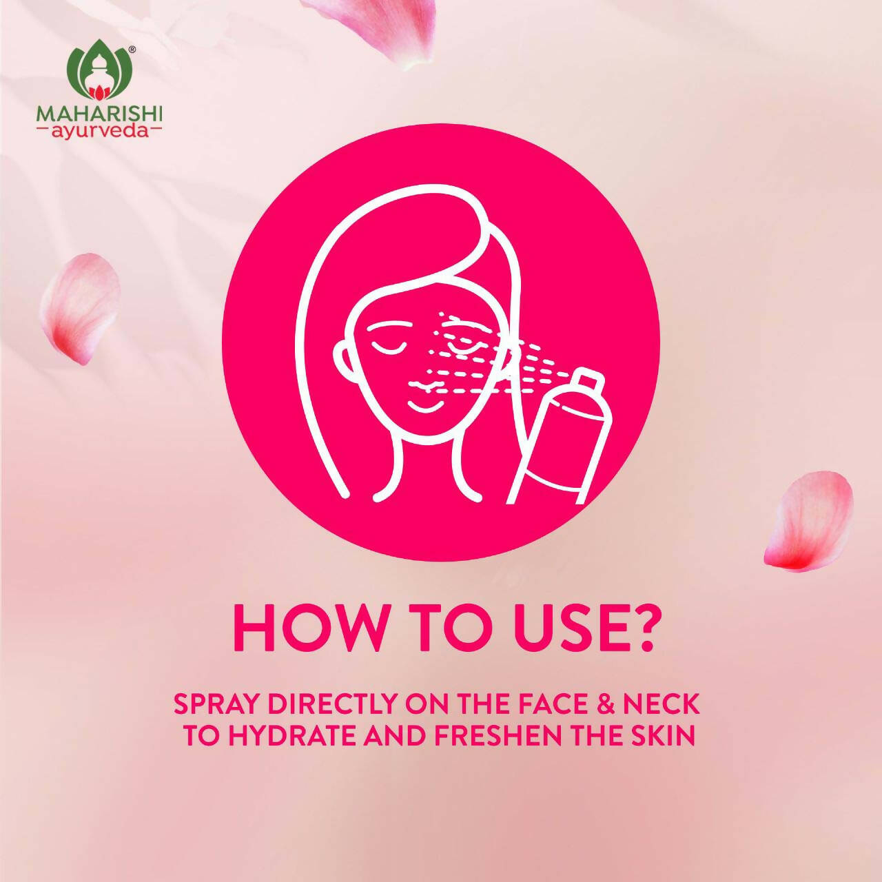 https://cdn.shopify.com/s/files/1/1857/6931/products/rrdfYZIWrK.jpg?v=1675508748