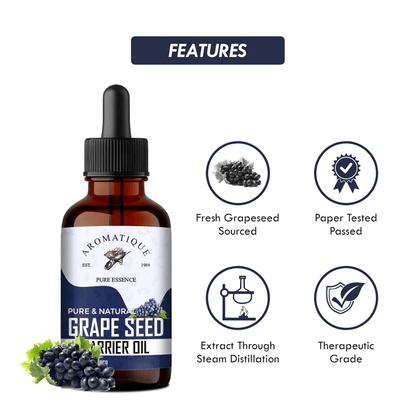 https://cdn.shopify.com/s/files/1/1857/6931/files/rwIu8s1iur-276155.png?v=1736149328