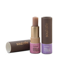https://cdn.shopify.com/s/files/1/1857/6931/products/ry3zRwyzr9.jpg?v=1629448659