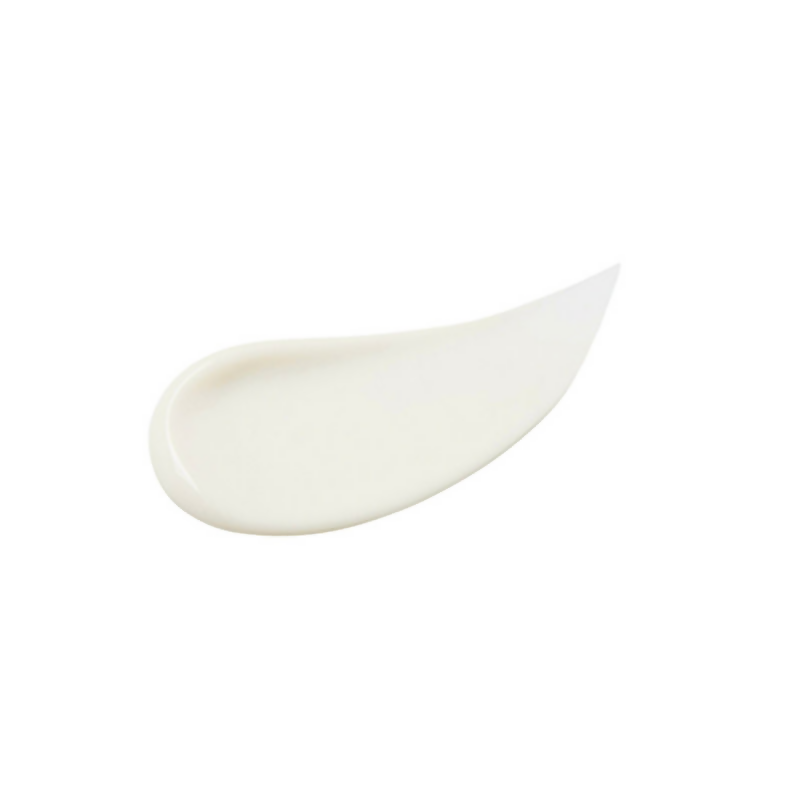https://cdn.shopify.com/s/files/1/1857/6931/files/ryIDZWdq3D.png?v=1724843831