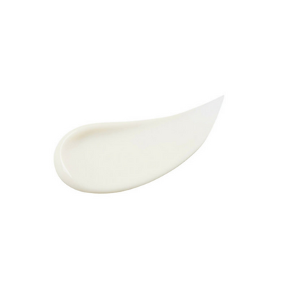 https://cdn.shopify.com/s/files/1/1857/6931/files/ryIDZWdq3D.png?v=1724843831