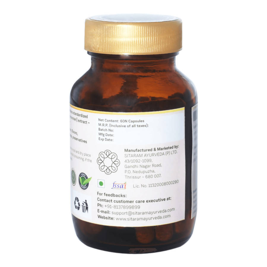https://cdn.shopify.com/s/files/1/1857/6931/products/ryu4buQtMM.jpg?v=1640777344