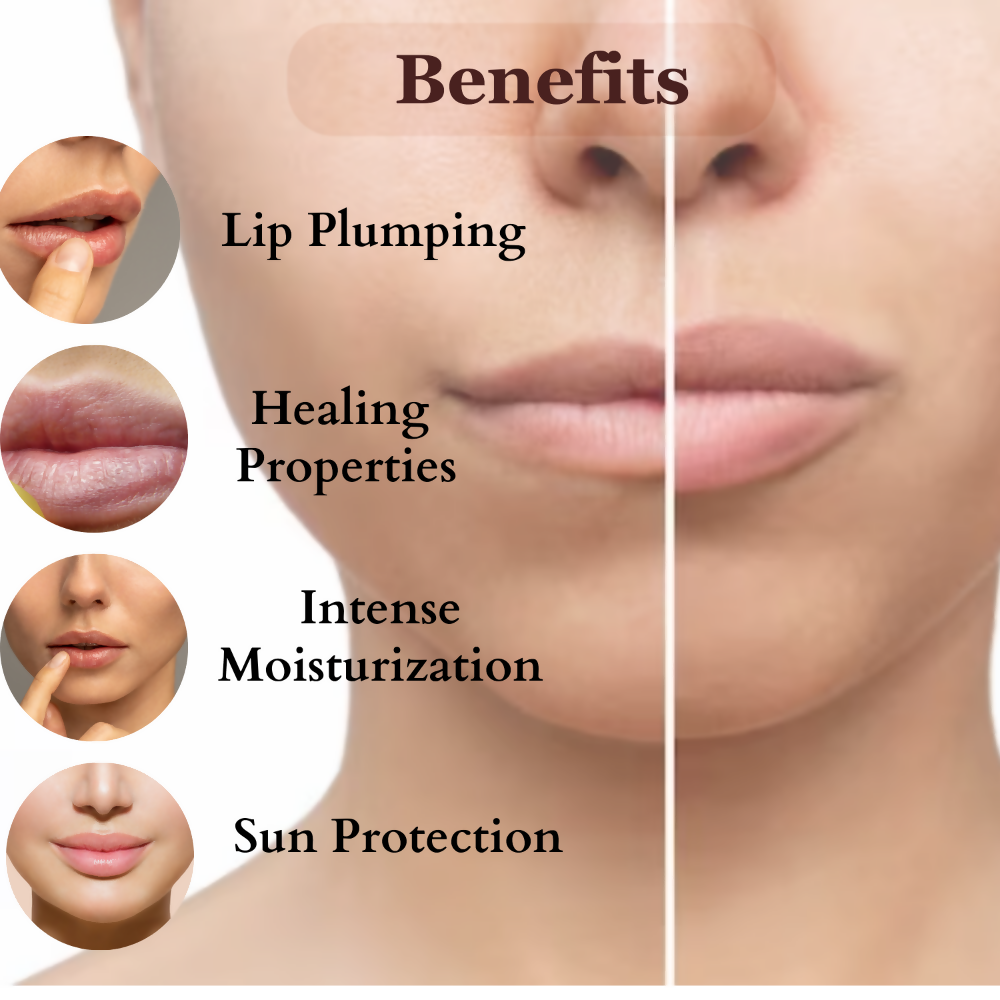 https://cdn.shopify.com/s/files/1/1857/6931/products/s3IUYTdkX4.png?v=1700631123