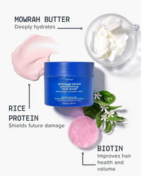 https://cdn.shopify.com/s/files/1/1857/6931/files/s4nmK4eICQ-351374.jpg?v=1736142856