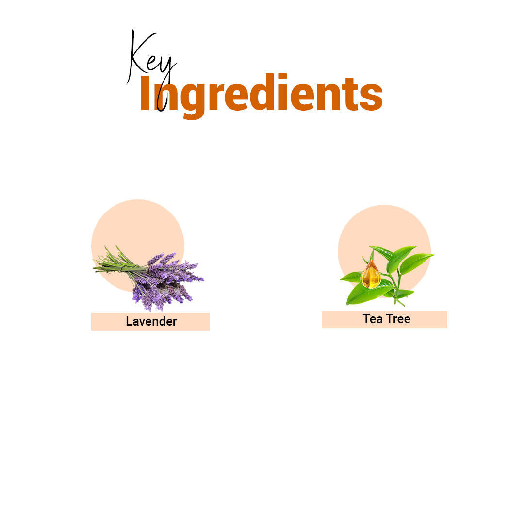 https://cdn.shopify.com/s/files/1/1857/6931/products/s65tvsujFq.jpg?v=1661170006