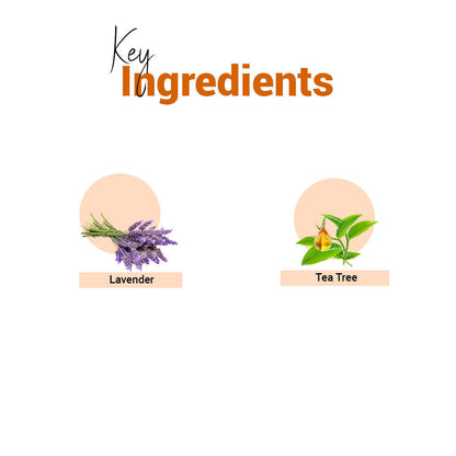 https://cdn.shopify.com/s/files/1/1857/6931/products/s65tvsujFq.jpg?v=1661170006