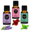 https://cdn.shopify.com/s/files/1/1857/6931/products/s9UtZX6THO.jpg?v=1759455829