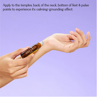 https://cdn.shopify.com/s/files/1/1857/6931/files/sB7ffW5aTQ.png?v=1719235745